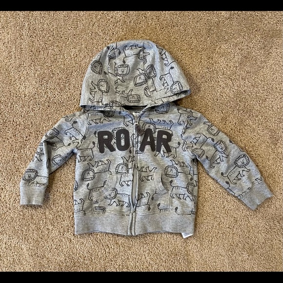 Carter's Other - Lions and lions and lions, OH MY!